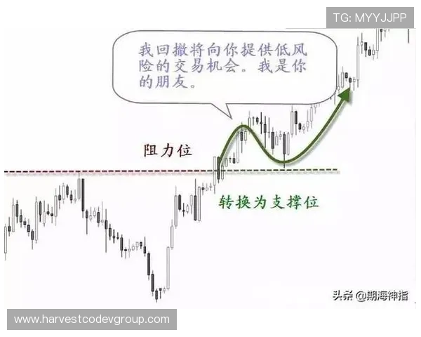 意甲买球投注技巧分享提升投注精准度的实用方法与经验总结