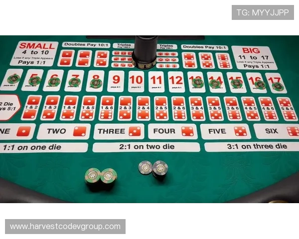 揭秘AG国际百家乐官网的安全保障措施，保障您的资金与信息安全