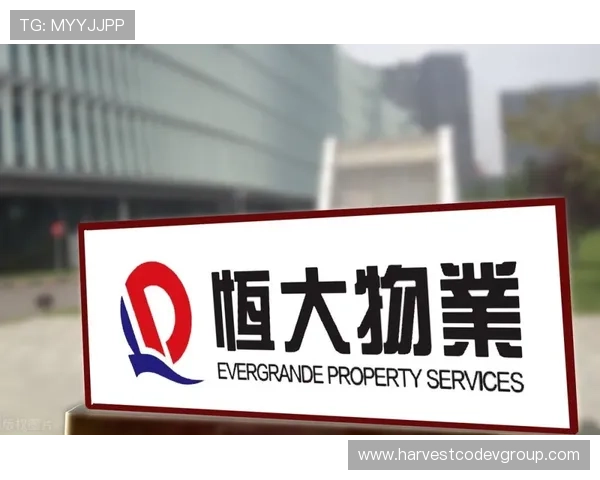 恒峰国际ag：合作伙伴与行业口碑助力品牌持续成长的背后秘诀