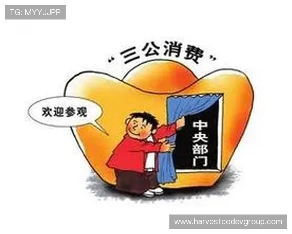 网上三公:网络时代公务消费的风险点及其应对策略全面解析