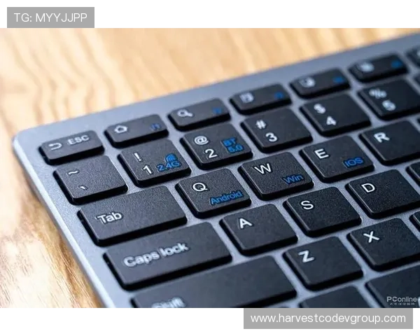 K8凯发国际登录入口安全稳定，提供多平台无缝体验的最佳登录解决方案