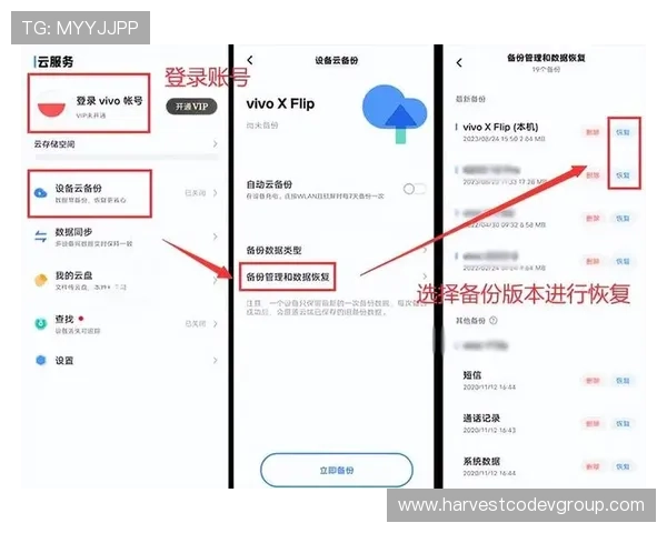 凯发单挑牛牛如何利用策略提升胜率，专家推荐实用技巧汇总